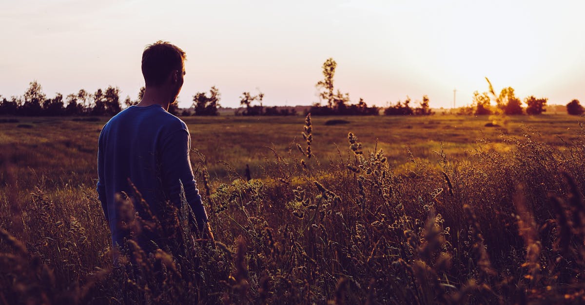 A young man walks through a grassy field at sunset, capturing a serene and contemplative moment.