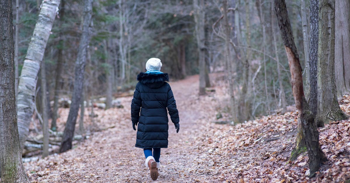 A person in a puffer jacket walks along a peaceful forest pathway in autumn.