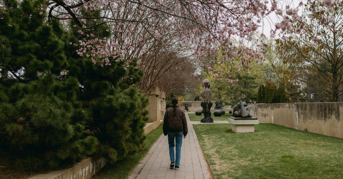 Woman walking under blooming trees in a sculpture garden during spring.